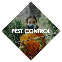 pest%20control.png